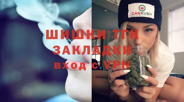 стаф Сафоново