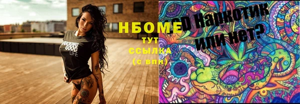 стаф Сафоново