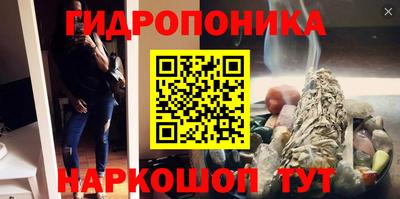 шишки Гусь-Хрустальный