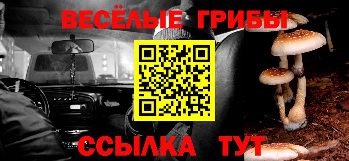 Псилоцибиновые грибы прущие грибы Тихвин