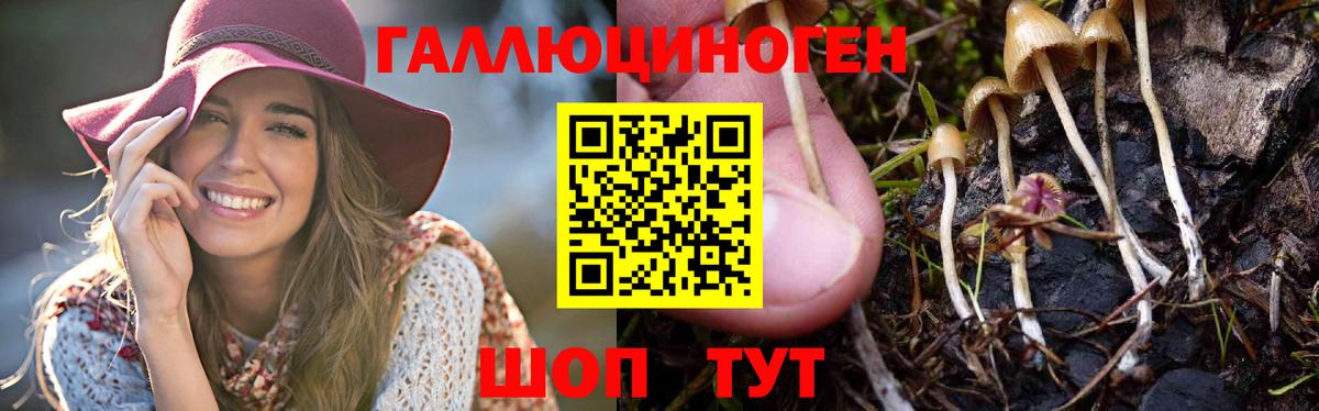 Галлюциногенные грибы MAGIC MUSHROOMS  Вход с VPN  сколько стоит  Галлюциногенные грибы мицелий  Тихвин 