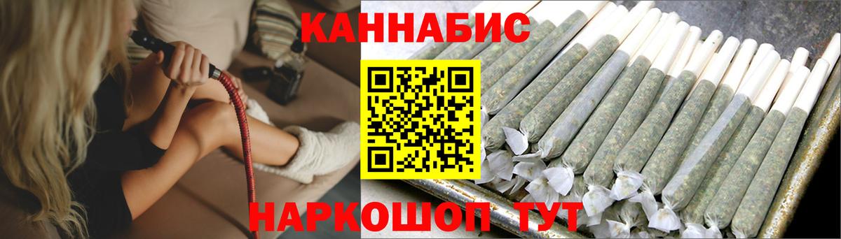 Каннабис индика Тихвин